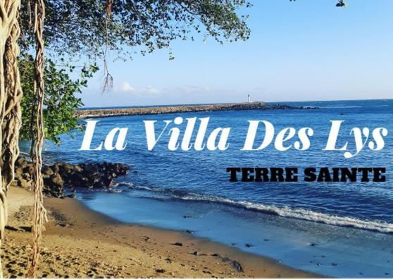 La Villa Des Lys 생피에르 외부 사진